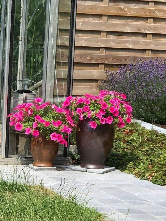 B&B Le Jardin De Grand-Mere Oudenburg Exterior foto